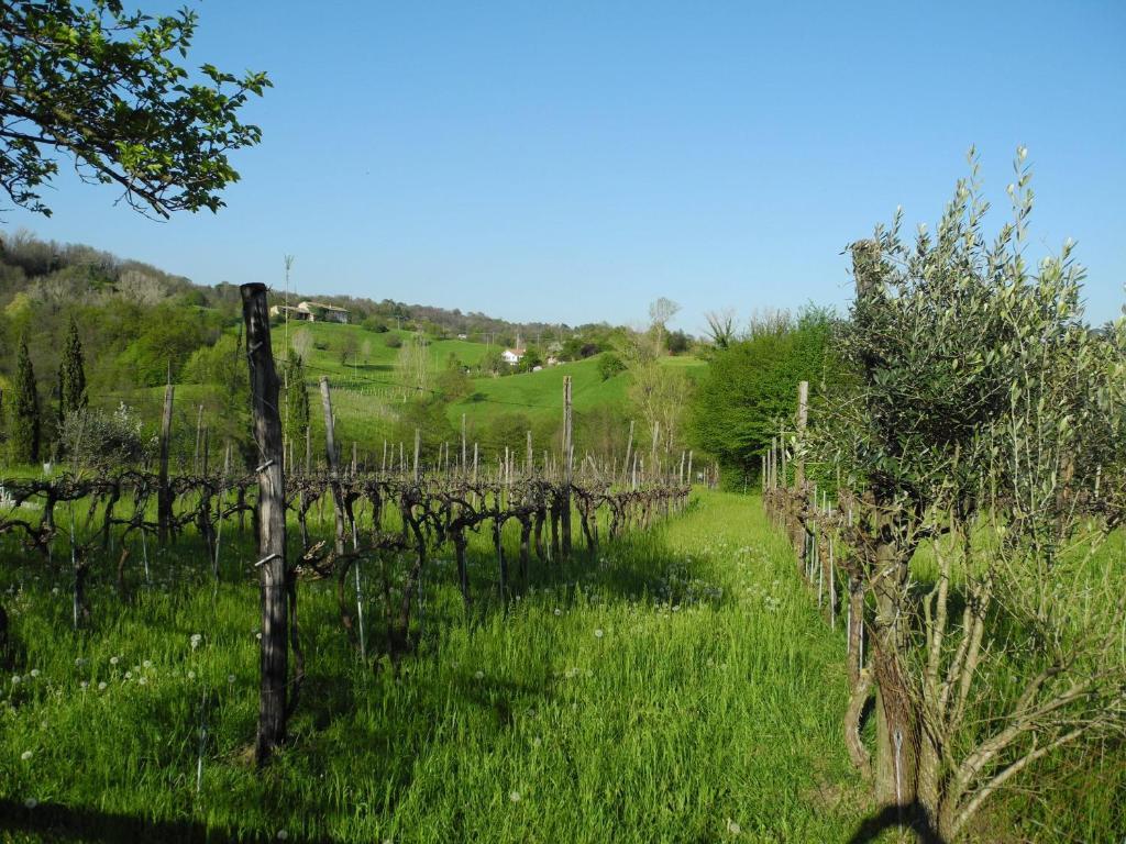 Agriturismo Cornolere Villa Castelcucco Kültér fotó